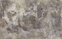 Penumbra II Mural by Matera - Swatch - 12X8