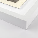 Aether Orchids by Platinum Revival - 48X425 White Maple