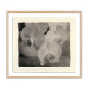 Aether Orchids by Platinum Revival - 32X285 White Oak