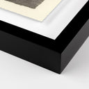 Aether Orchids by Platinum Revival - 48X425 Black Maple