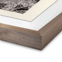 Aurelian Juniper Gampi by Platinum Revival - 60X455 Rustic Walnut