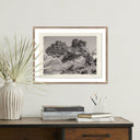 Aurelian Juniper Gampi by Platinum Revival - 32X245 Rustic Walnut