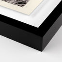 Aurelian Juniper Gampi by Platinum Revival - 60X455 Black Maple