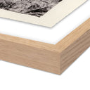 Aurelian Juniper Gampi by Platinum Revival - 24X185 White Oak