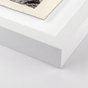 Aurelian Juniper Gampi by Platinum Revival - 60X455 White Maple