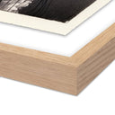 Oceanic Delight Jellies 4 by Platinum Revival - 245X32 White Oak