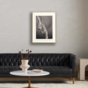 Oceanic Delight Jellies 4 by Platinum Revival - 245X32 White Oak