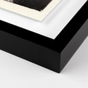 Oceanic Delight Jellies 4 by Platinum Revival - 185X24 Black Maple