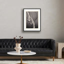 Oceanic Delight Jellies 4 by Platinum Revival - 245X32 Black Maple