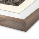 Aetherial Redwoods Magical Portal by Platinum Revival - 38X48 Rustic Walnut