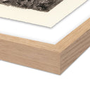 Aetherial Redwoods Magical Portal by Platinum Revival - 475X60 White Oak