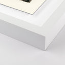 Aurelia Fern by Platinum Revival - 475X60 White Maple