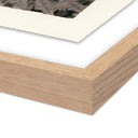 Aurelia Fern by Platinum Revival - 38X48 White Oak