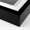 Veridian Collection Flower Room by Fountain Grass Studios - 36X48 Black Maple