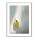 Veridian Collection Flower Room by Fountain Grass Studios - 40X60 White Oak