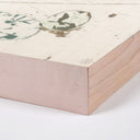 Aurelia Nopales by Douglas Galloway - 32X19 Wood Wood Box