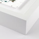 Aurelia Nopales by Douglas Galloway - 32X21 White Maple Framed Paper