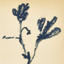 Aurelia Summer Weed by Shaina Page - 24X32