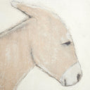 Opulent Burro Dia by Paul Meyer - 40X40