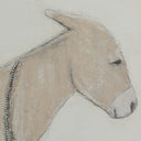 Opulent Burro Dia by Paul Meyer - 48X48