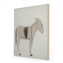 Opulent Burro Dia by Paul Meyer - 48X48