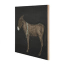 Aetherial Burro Noche by Paul Meyer - 24X24