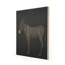Aetherial Burro Noche by Paul Meyer - 40X40