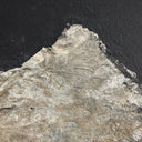 Aurelian Sonora Noche by Paul Meyer - 60X36 Maple Box