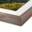 Nimbus Above The Clouds by Wesley and Emma Teague - 36X48 Rustic Walnut