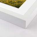 Nimbus Above The Clouds by Wesley and Emma Teague - 24X32 White Maple