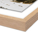 Aurelia Advent - Iceland by Wesley and Emma Teague - 24X18 White Oak