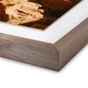 Verity by Wesley and Emma Teague - Wildlife - Zion Ut - 32X32 Rustic Walnut