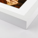 Verity by Wesley and Emma Teague - Wildlife - Zion Ut - 24X24 White Maple