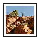 Verity by Wesley and Emma Teague - Wildlife - Zion Ut - 32X32 Black Maple