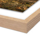 Aurelian Three Gossips - Moab Ut by Wesley and Emma Teague - 24X18 White Oak