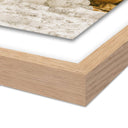 Aurelia Mammoth by Wesley and Emma Teague - 24X24 White Oak