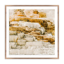 Aurelia Mammoth by Wesley and Emma Teague - 24X24 Rustic Walnut