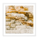 Aurelia Mammoth by Wesley and Emma Teague - 32X32 White Maple