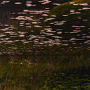 Artistry Luxe Frame Of Reference by Shade Degges - 485X60