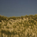 Aurelia Before The Coastline by Shade Degges - 40X30