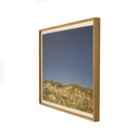 Aurelia Before The Coastline by Shade Degges - 40X30