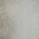 Aurelia Liminal by Paul Meyer - 60X50