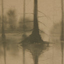 Reflective Reflection by Chelsea Fly - 265X32