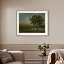 Aurelia Firefly Field by Lina Gordievsky - 40X315 White Oak