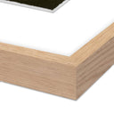 Aria Seeds Of Light II by Lina Gordievsky - 425X48 White Oak