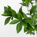 Luxe Living Faux Pieris Tree - 8