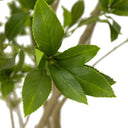 Luxe Living Faux Pieris Tree - 95