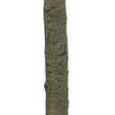 Lush Faux Eucalyptus Tree - 9