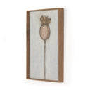 Crimson Bloom Poppy Dia by Paul Meyer - 36X48