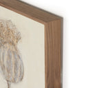 Aetherial Poppy Crema by Paul Meyer - 30X40